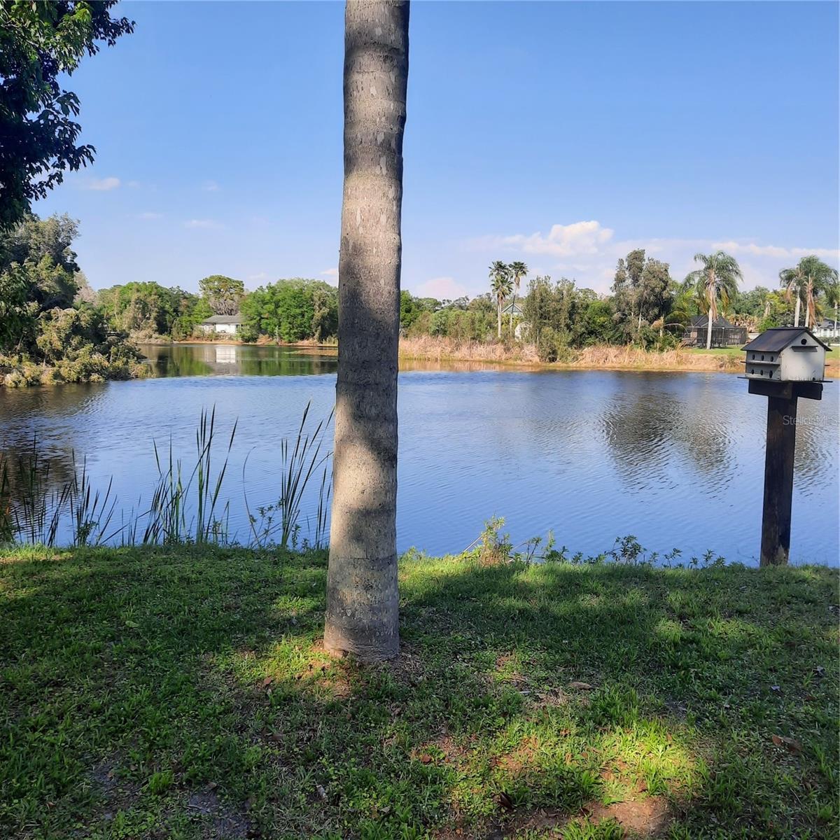 10502 Hinds Place, FL