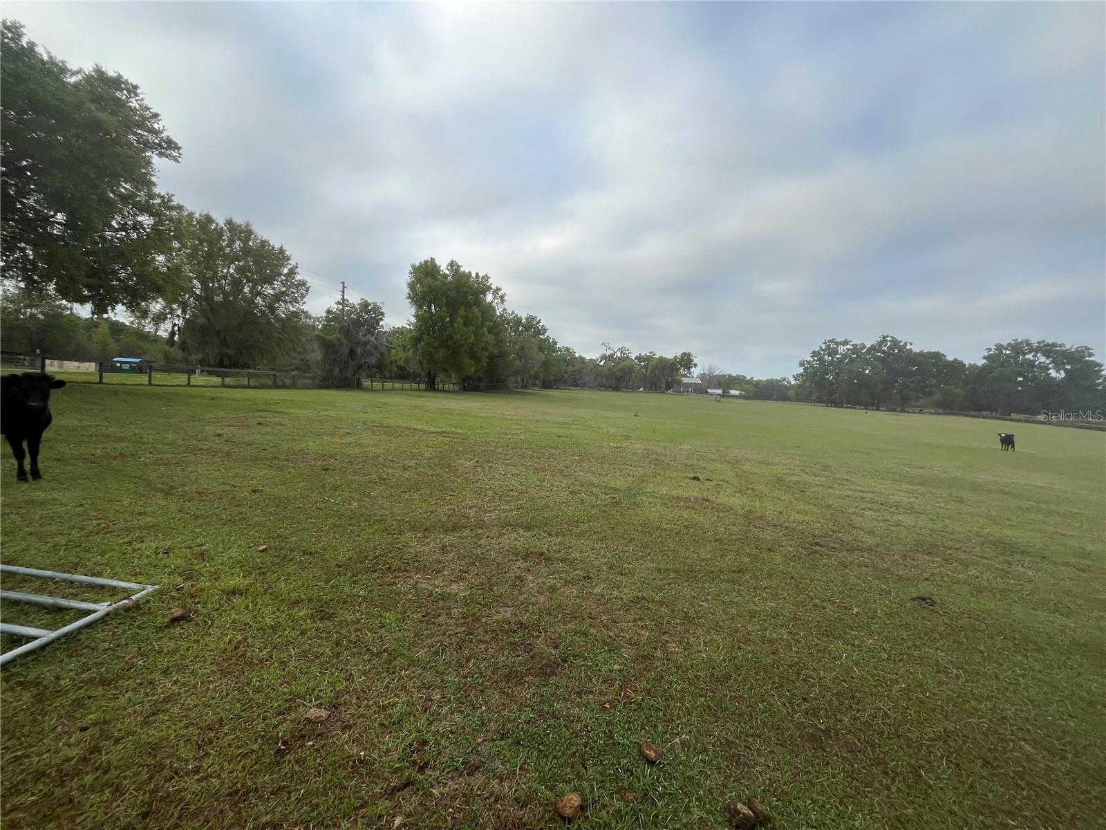 Tbd 106th Street, FL