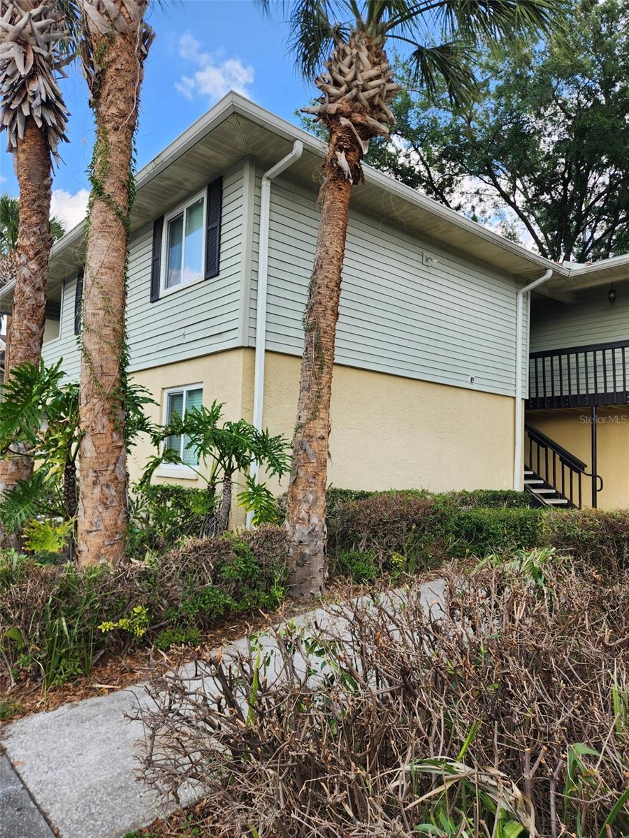 211 Thorn Tree Place, FL