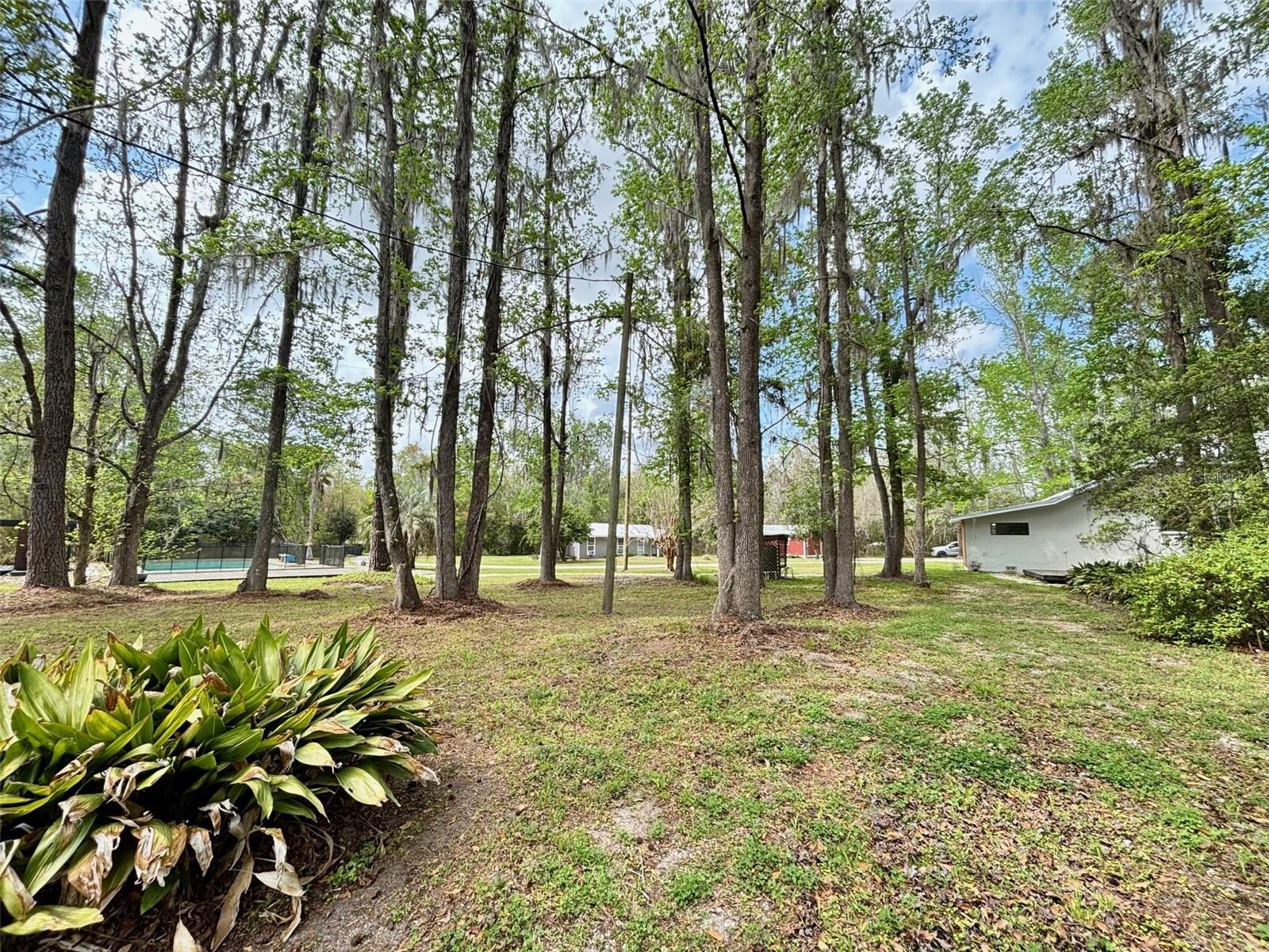 18917 County Road 239, FL