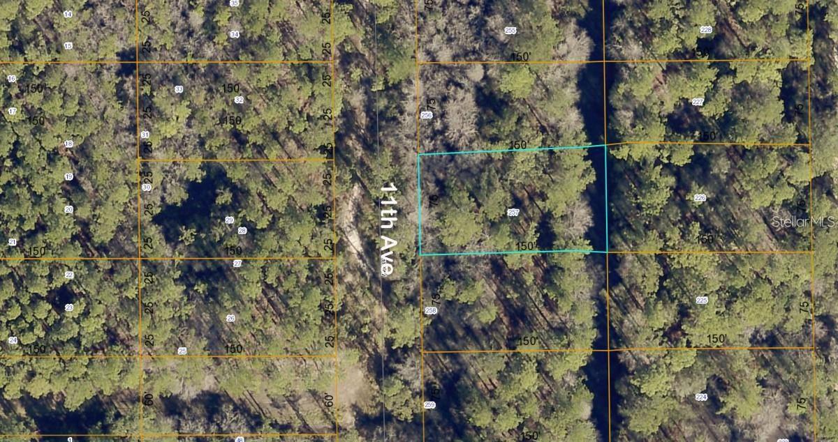 Lot 257 11th Ave, FL