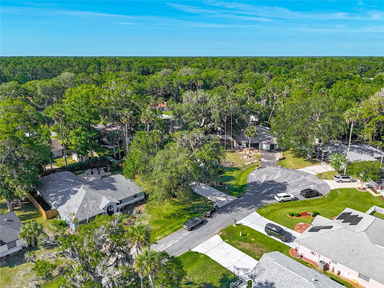 27 Black Hawk Place, FL