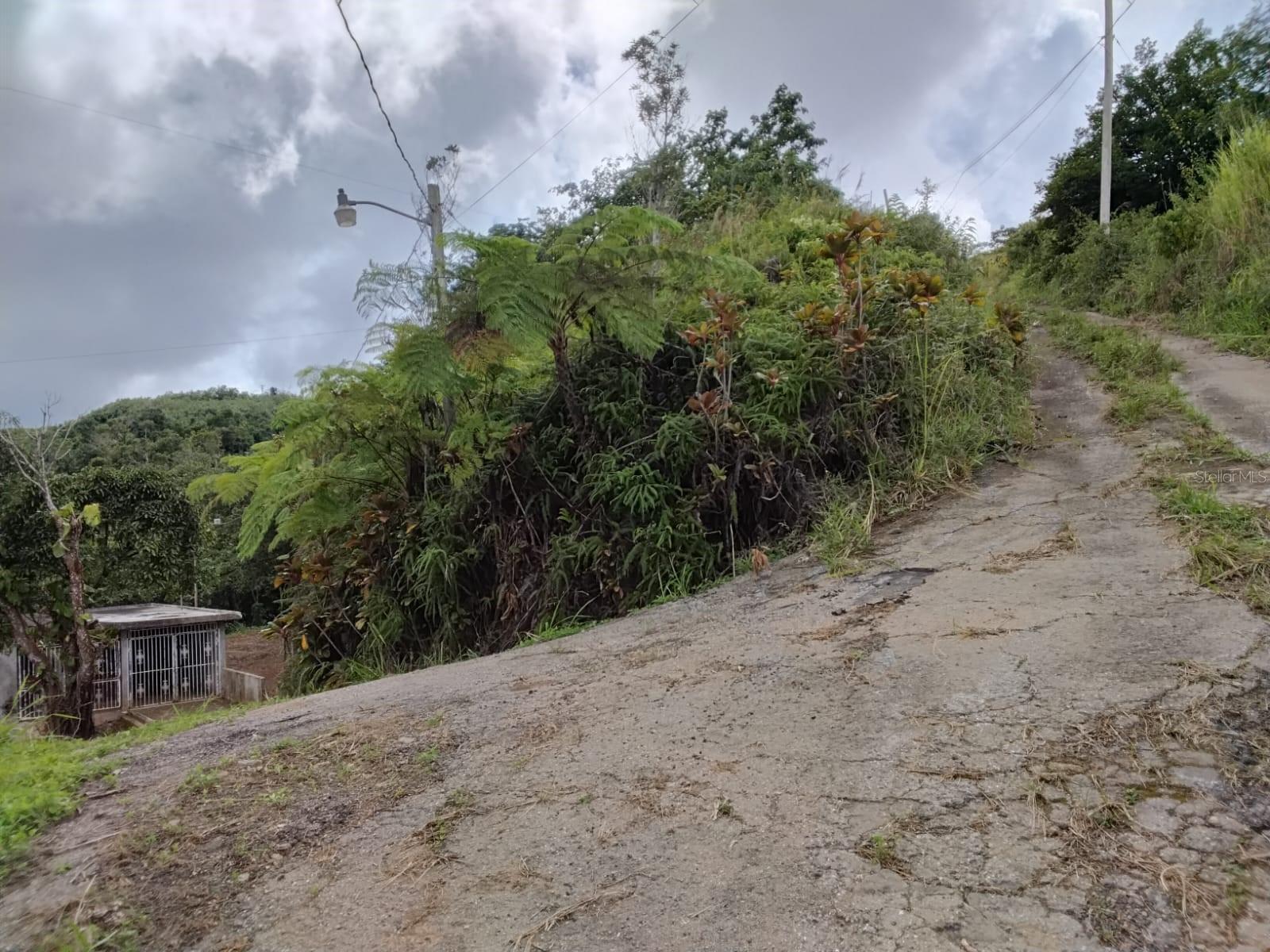 Bo.  Indiera Baja, PR