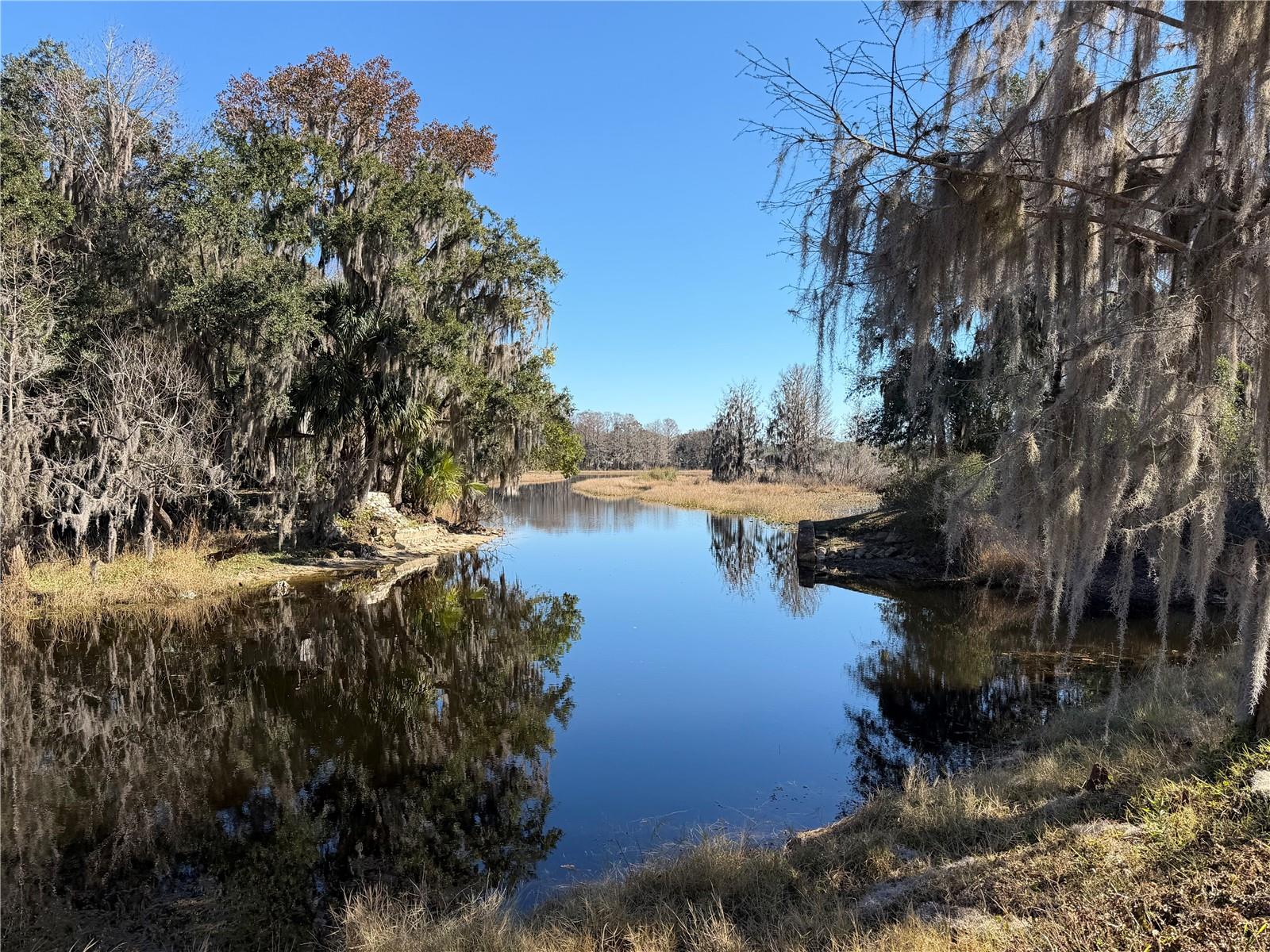 1340 Cypress Cove Court, FL
