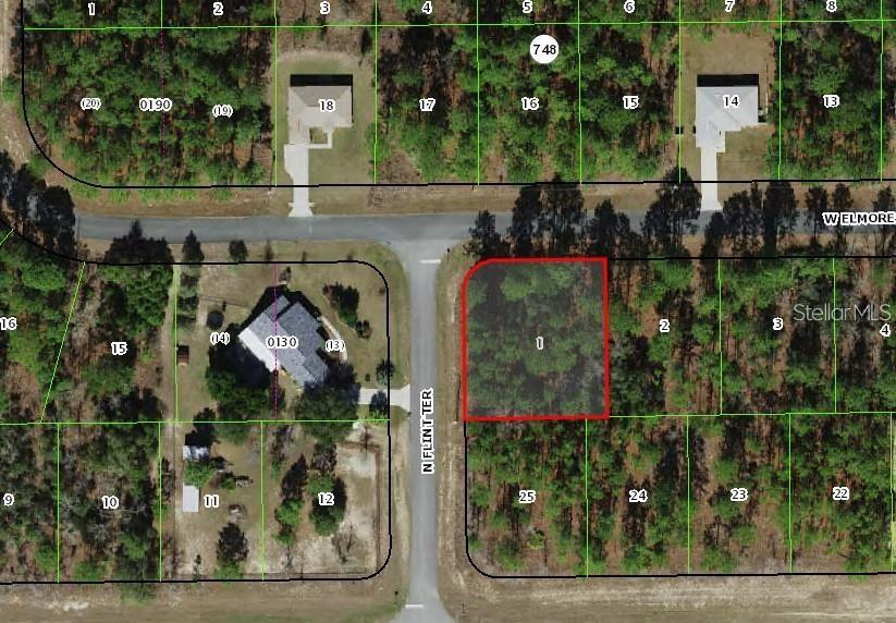 2372 W Elmore Loop, FL
