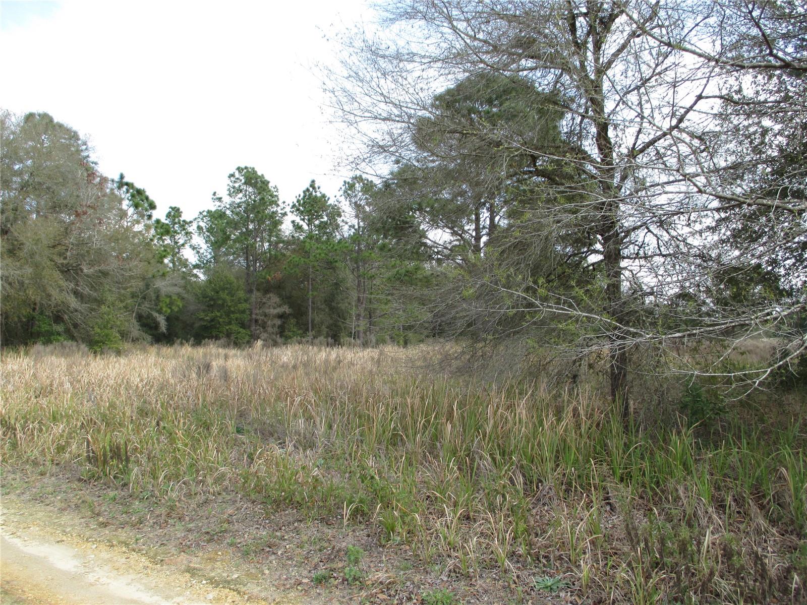Sw 24th Pl, FL