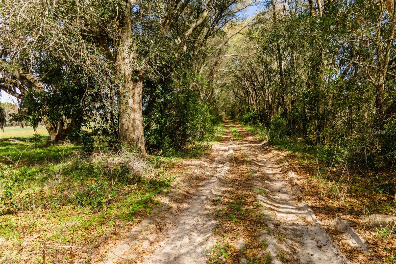Tbd Sw 298 St, FL