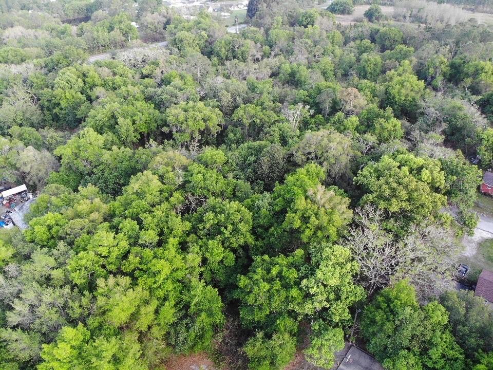 2156 Old Hickory Tree Rd, FL