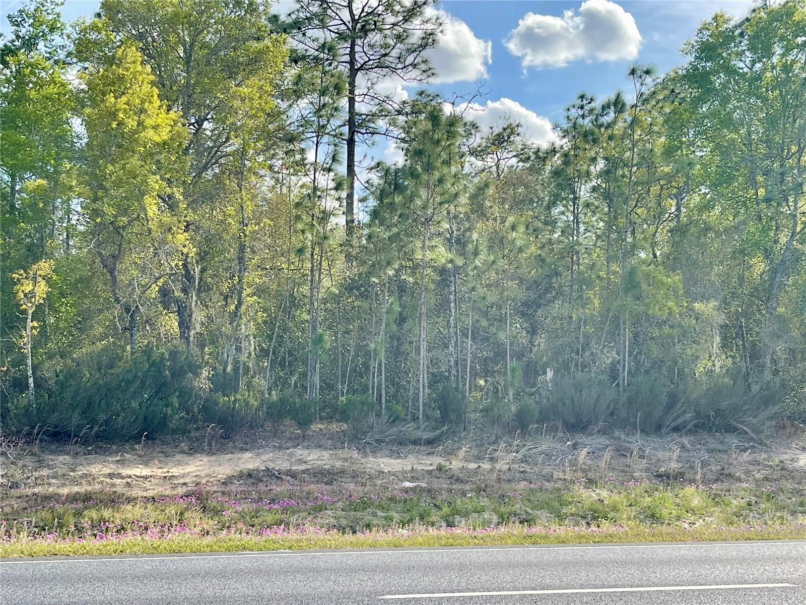 Tbd Ne Highway 27 Alt, FL
