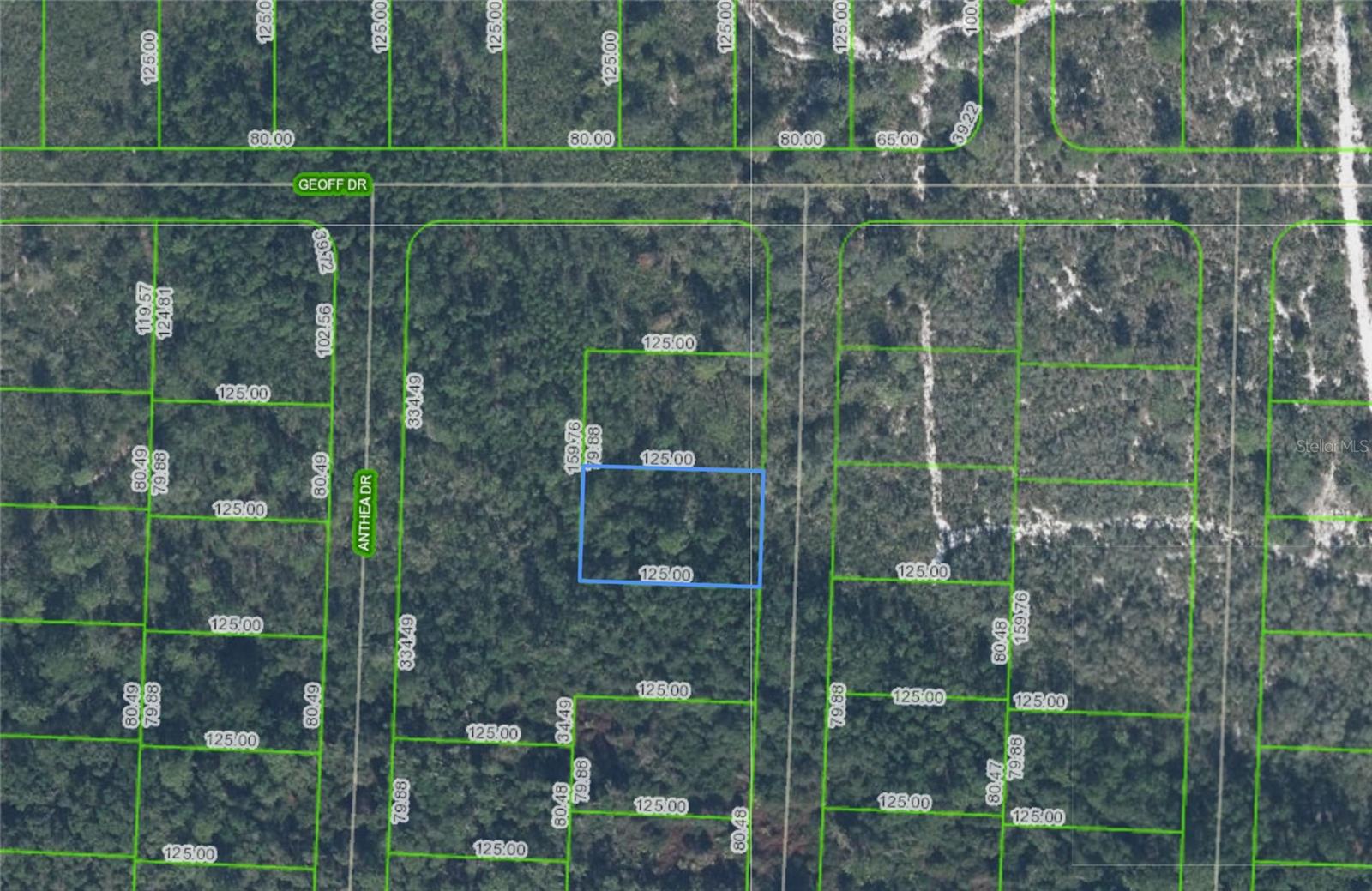 6316 Alicia Drive, FL