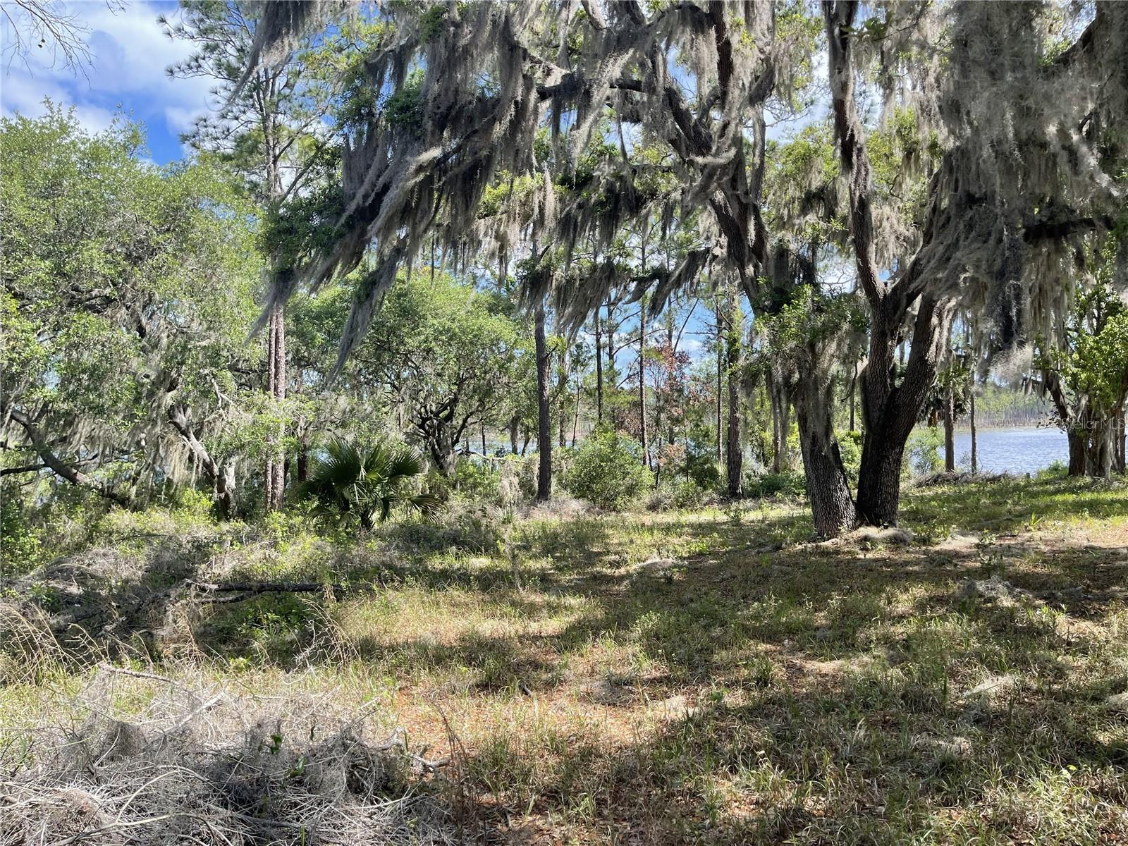 Sheryl Dr, FL