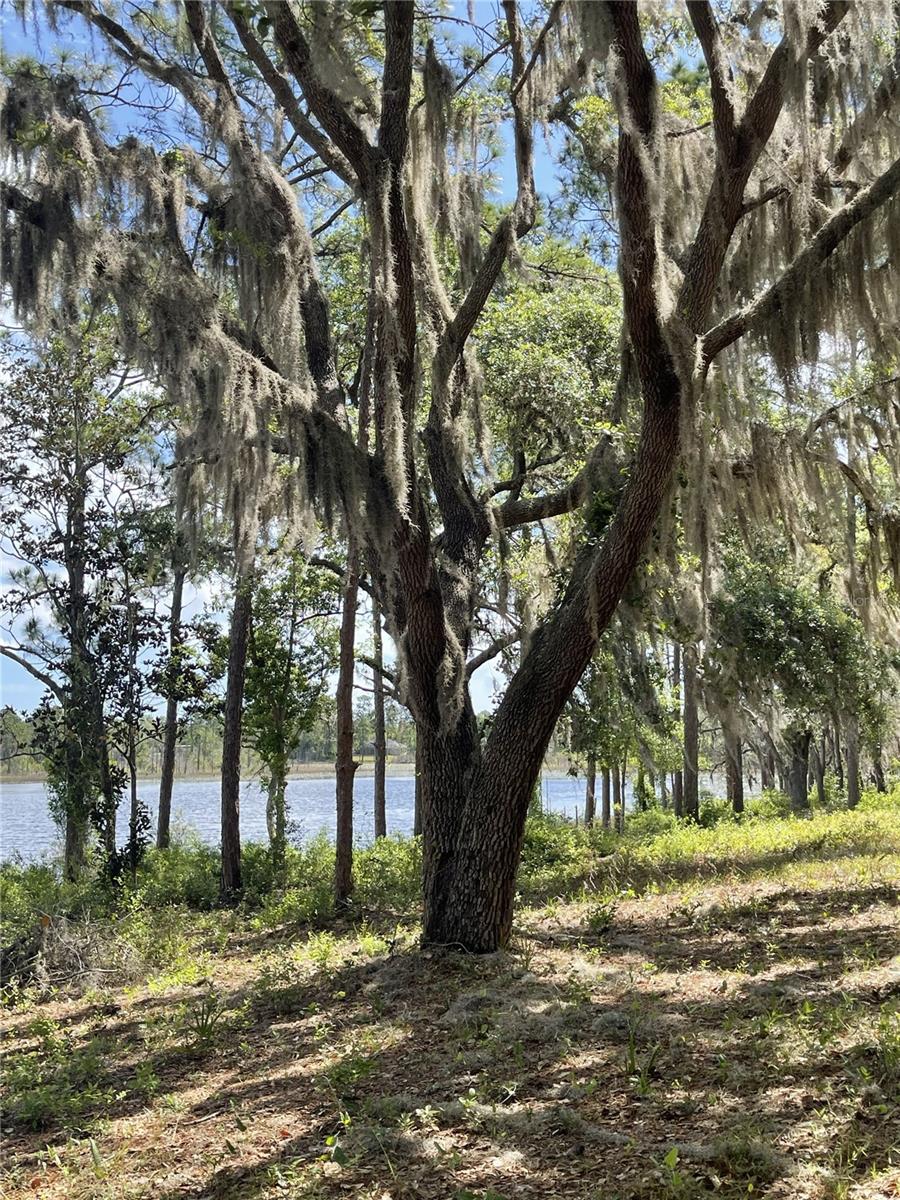 Sheryl Dr, FL