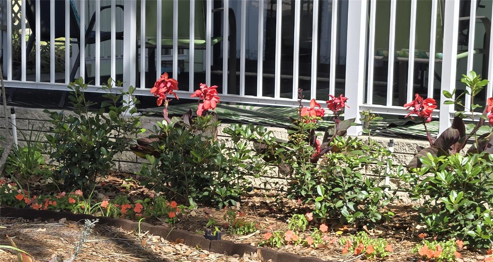 6309 Grove Pointe Drive, FL
