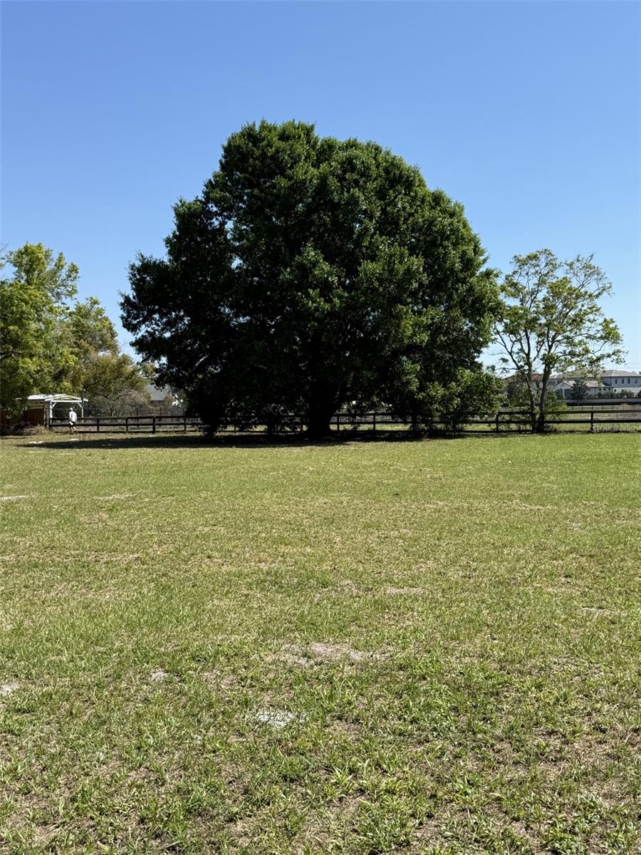 13125 Filly Court, FL