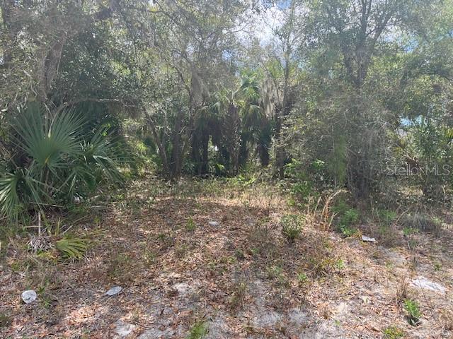 Scottish Ter, FL