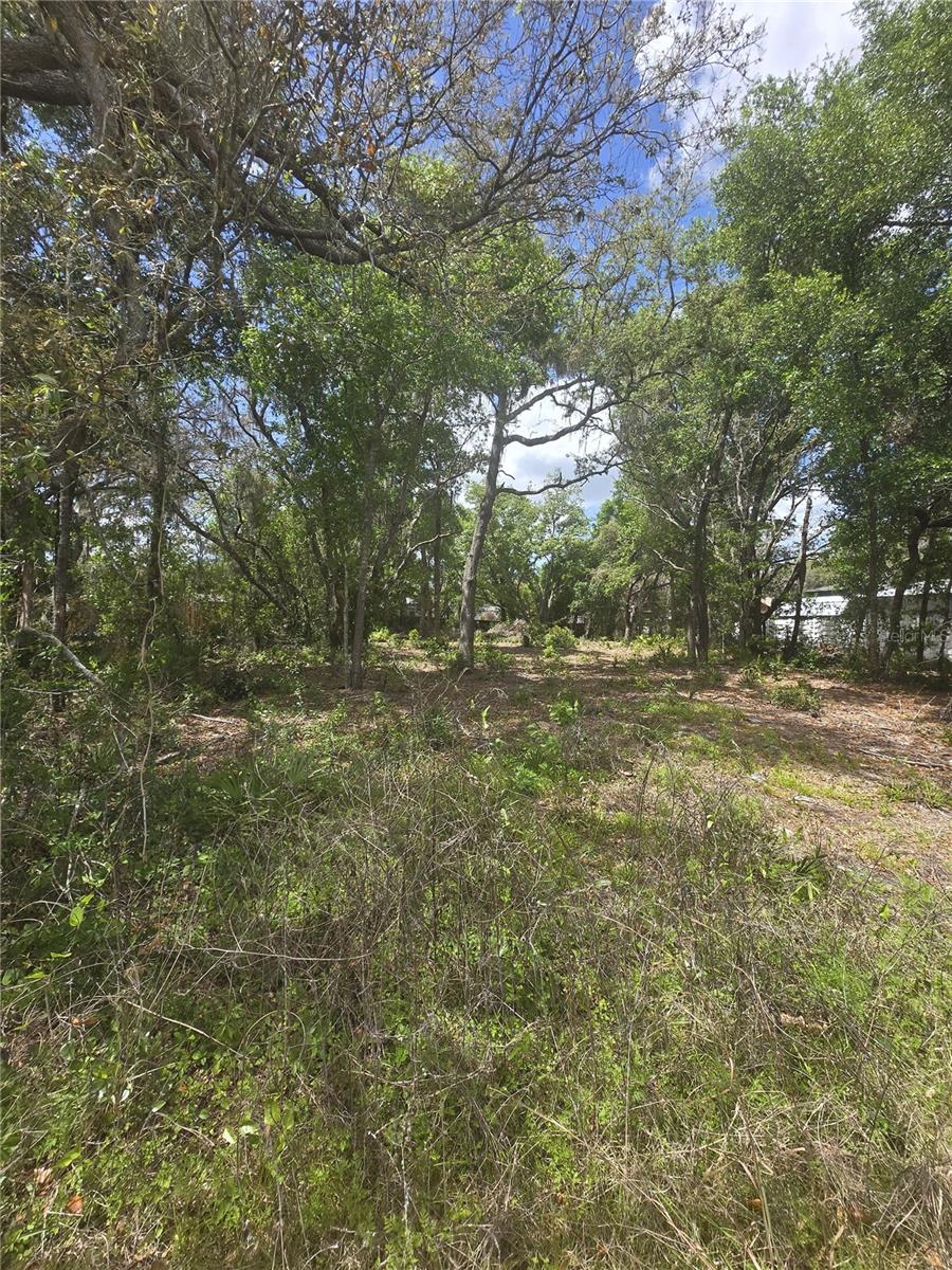 8140 Walt Williams Road, FL