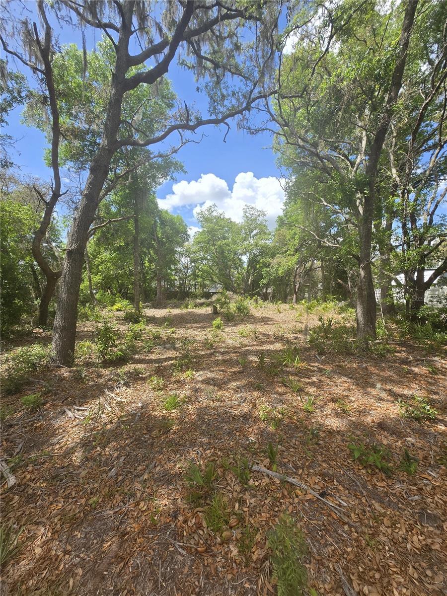 8140 Walt Williams Road, FL