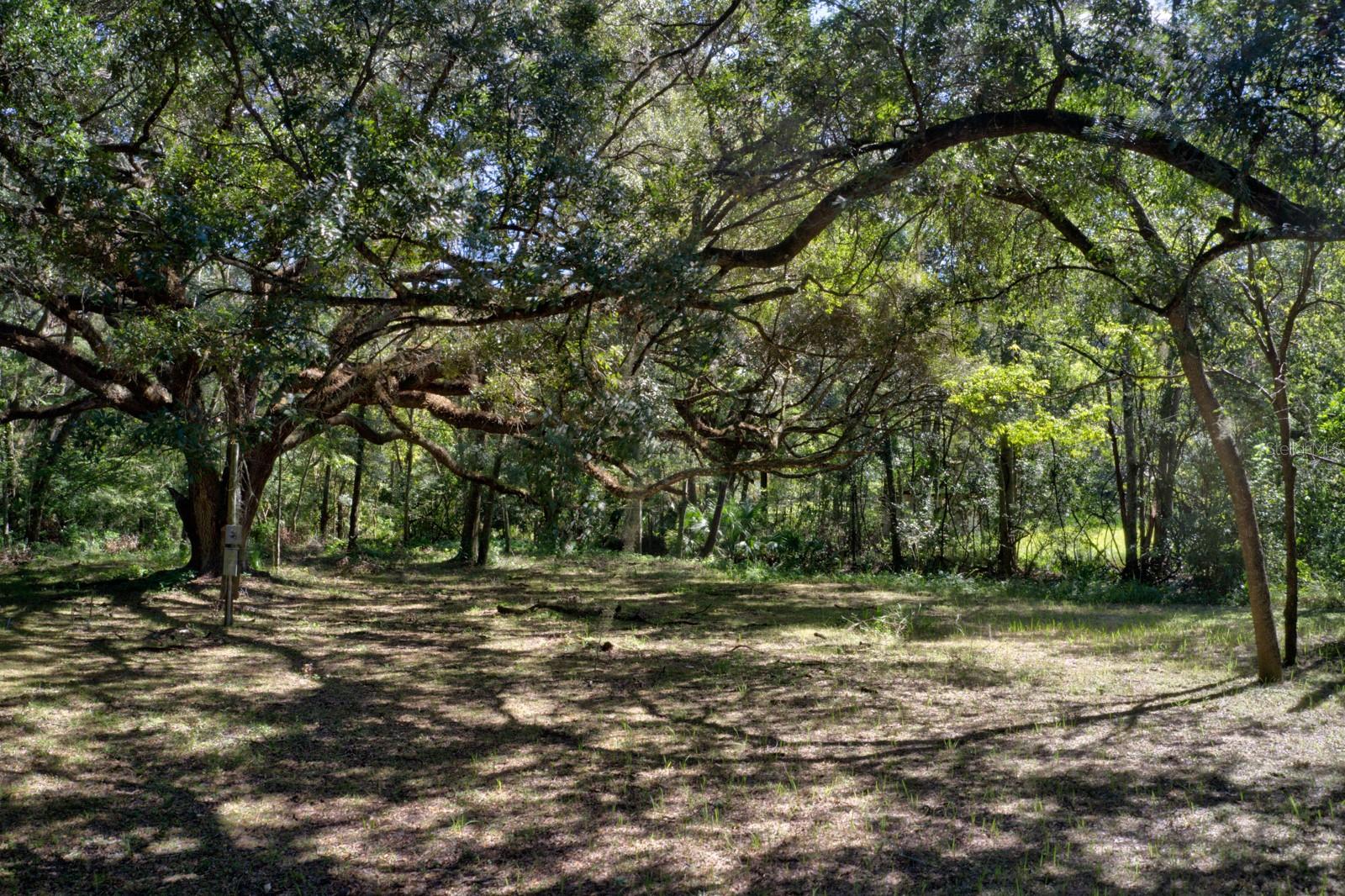 5005 63rd Boulevard, FL