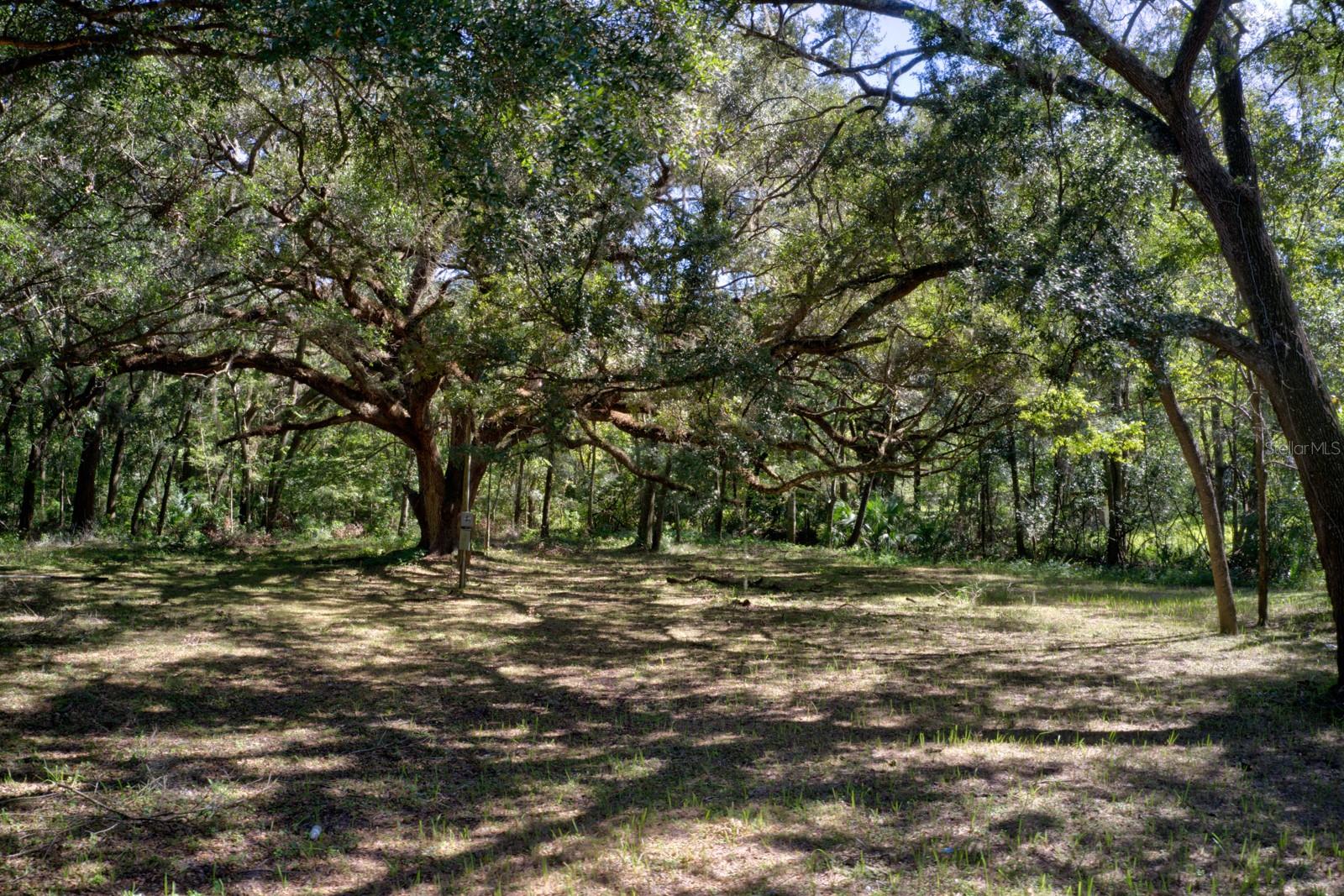5005 63rd Boulevard, FL