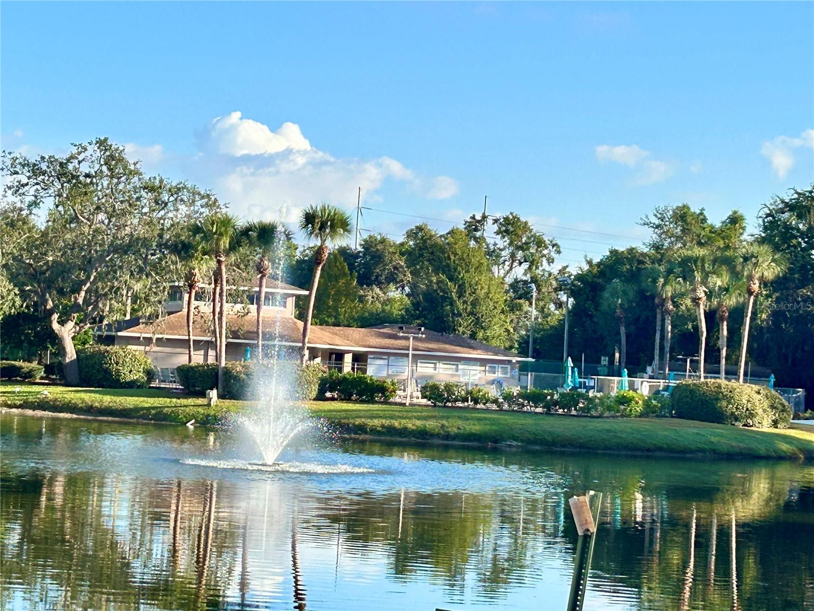 6519 Spring Flower Drive, FL