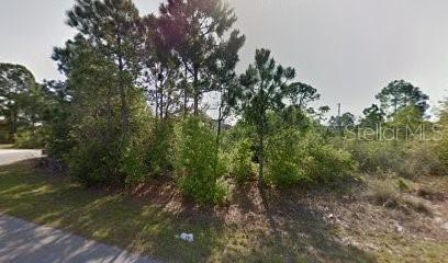 2338 Ramsey Rd Se, FL