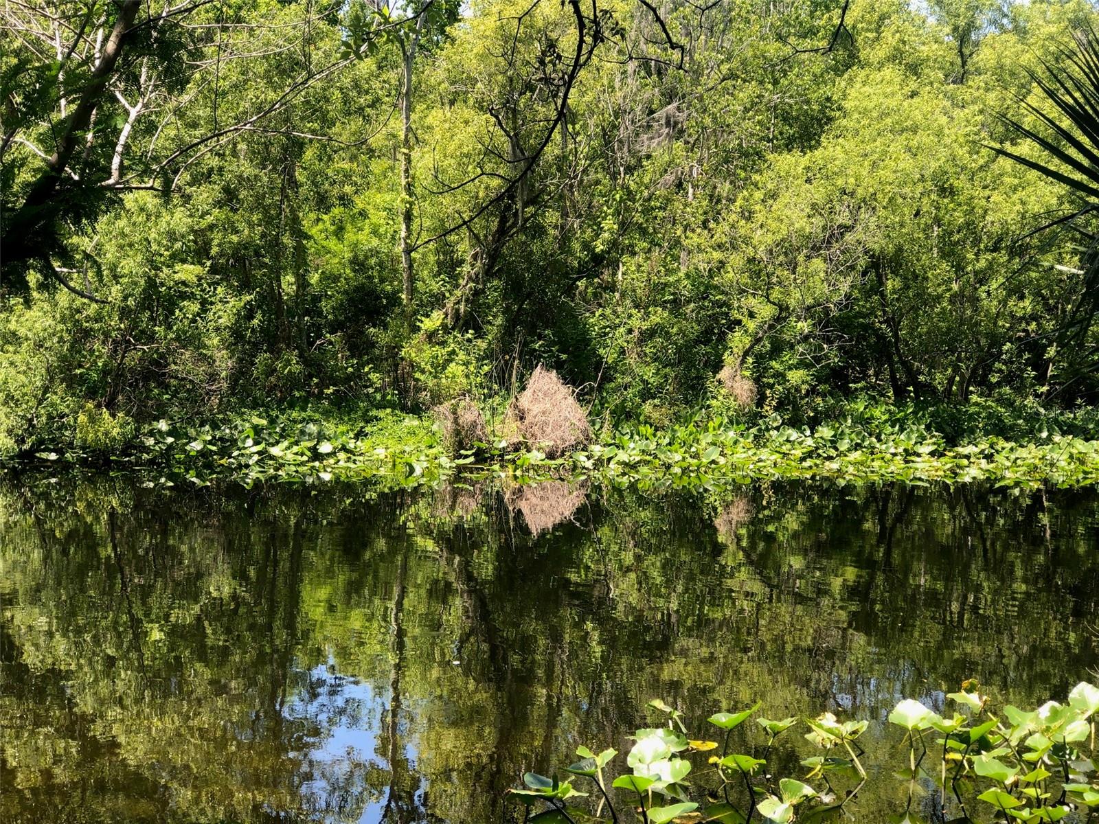 241 Nova Dr, FL