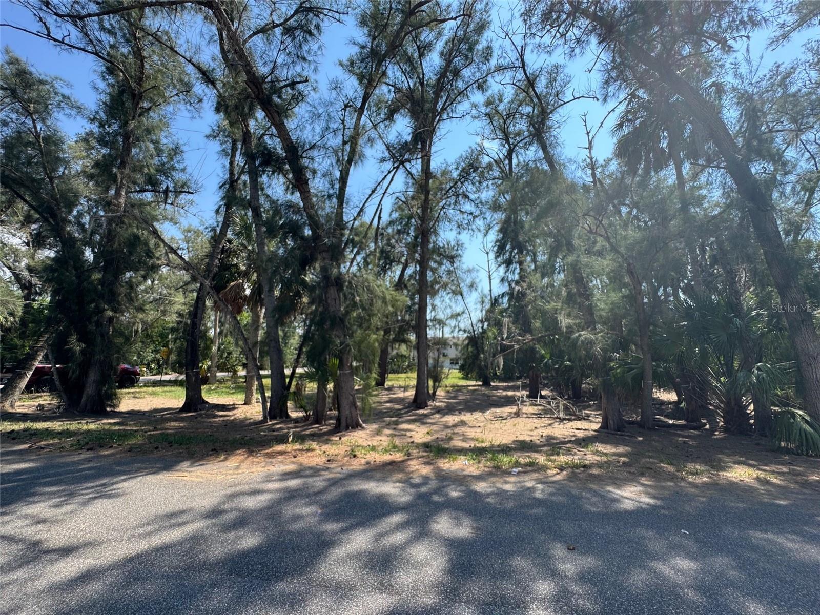 000 Oelsner St, FL