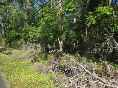 0 Fort Dade Ave, FL