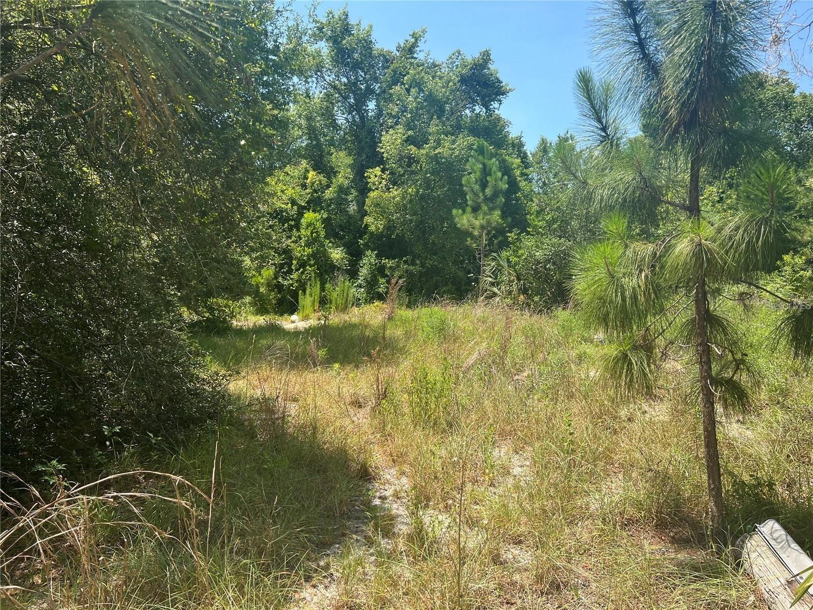 40314 Lime Street, FL