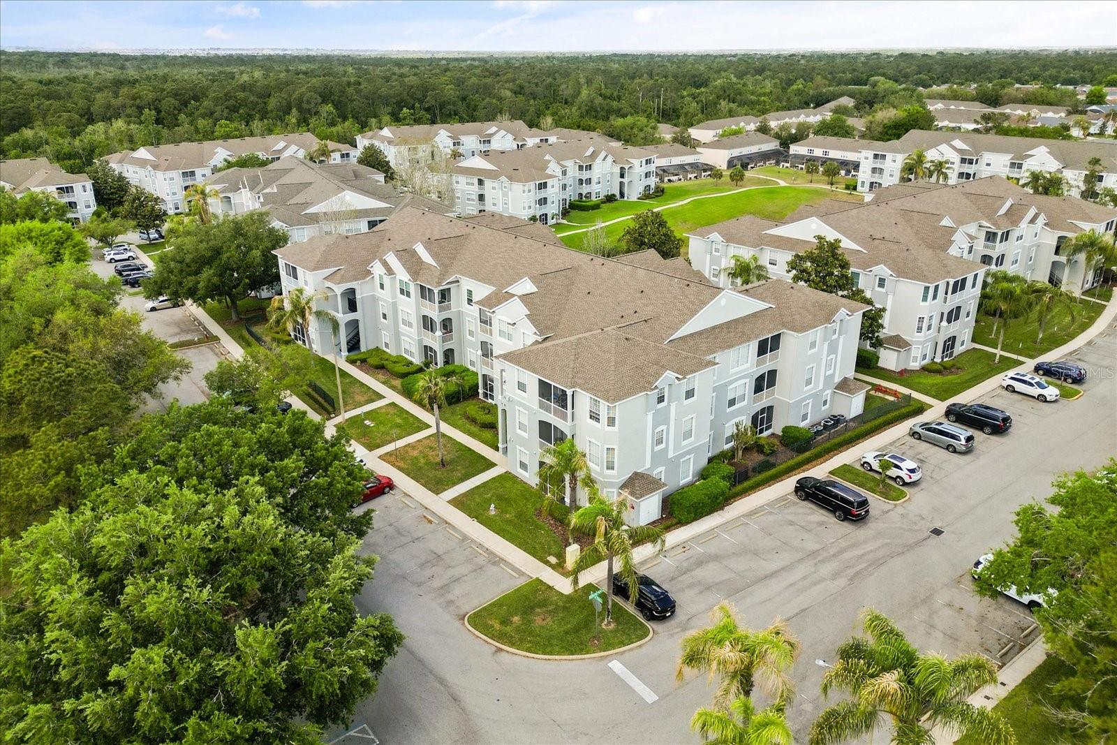 8101 Coconut Palm Way, FL