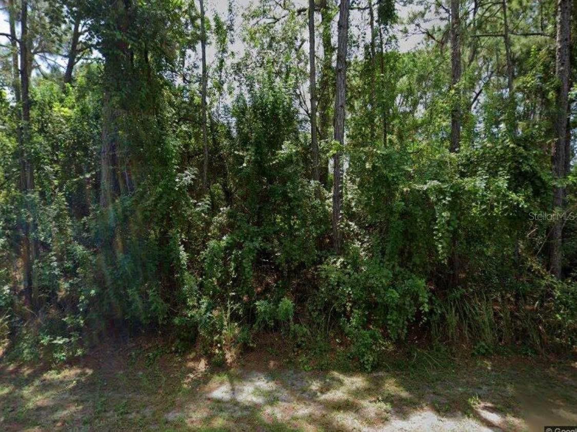 1250 Gingold St Nw, FL