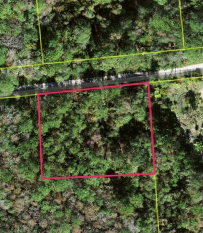 Lot 48 Amelia Trail, FL
