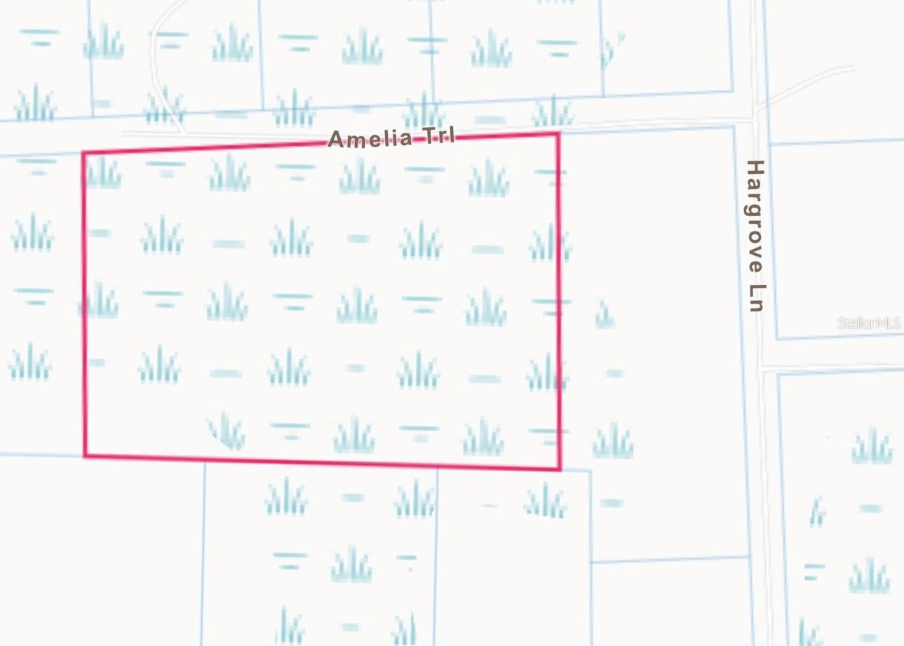 Lot 48 Amelia Trail, FL