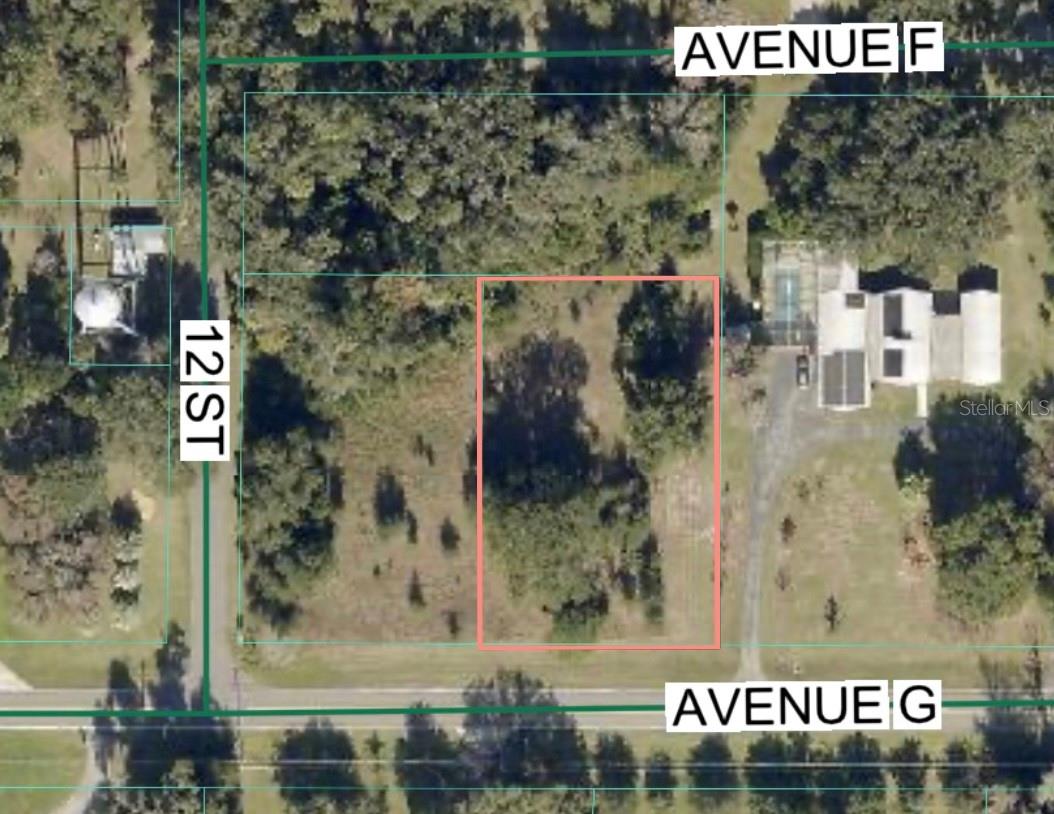 Avenue G, FL
