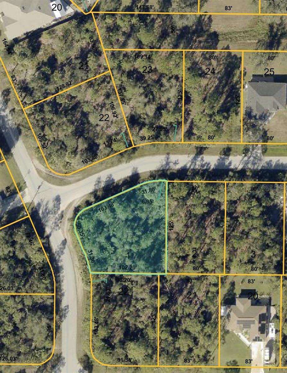 Montcalm Avenue, FL