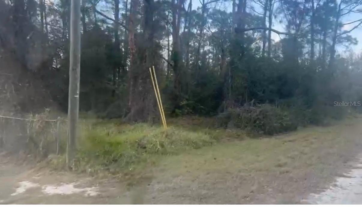 311 Wilson Lane, FL