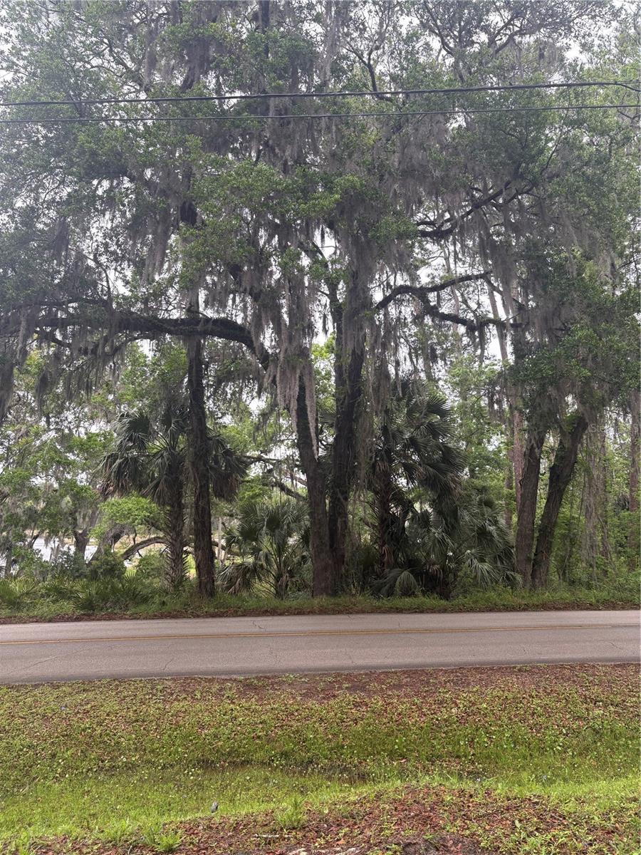 1425 E Graves Ave, FL