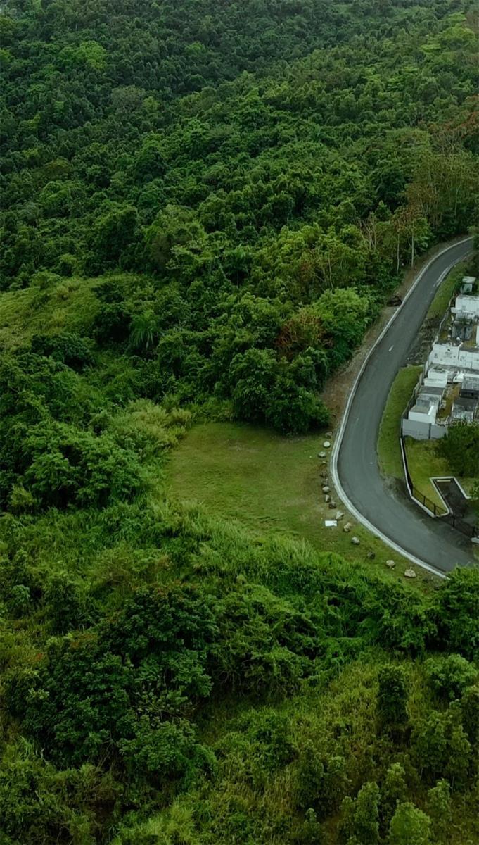 Carr 185 Lote F Bo Carruzos, PR