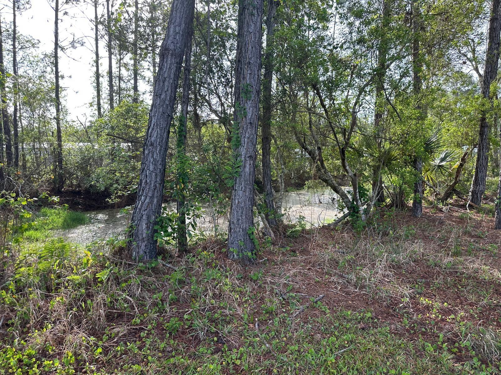 1583 Beech Boulevard, FL
