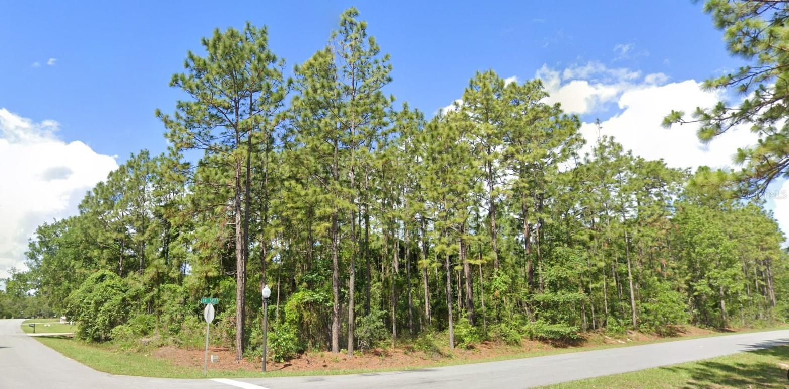 2020 Cr 243 B, FL