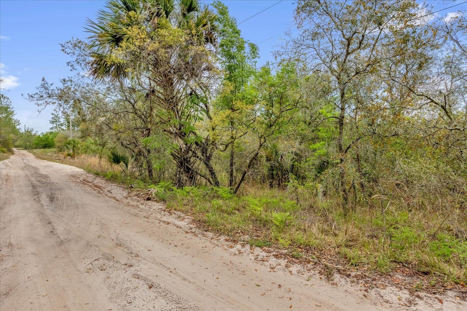 Chestnut Avenue, FL