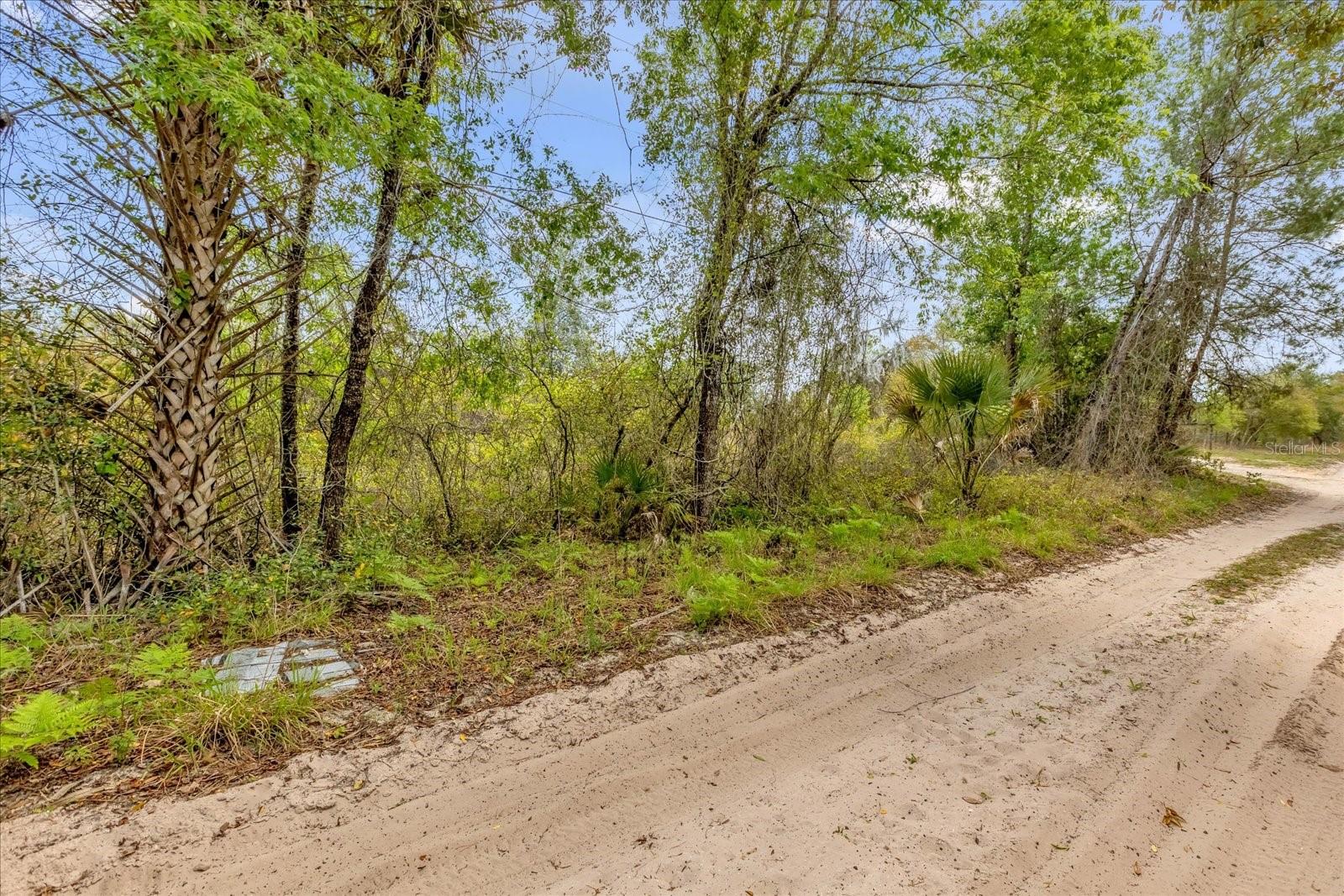 Chestnut Avenue, FL