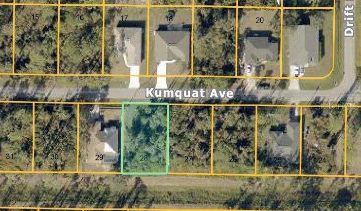 Kumquat Ave, FL