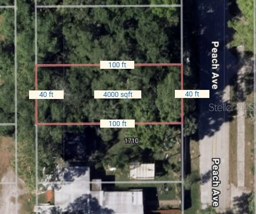 Peach Ave, FL