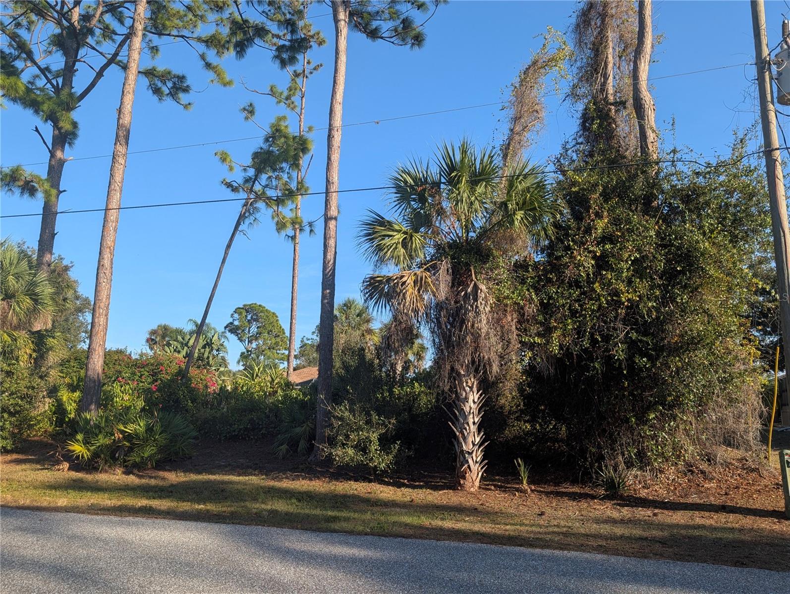 Tbd Branham Street, FL
