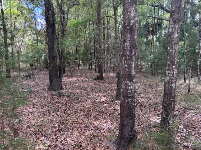 1.77 Acres Nw 73 St, FL