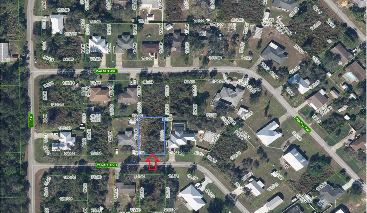 1507 Tamah Blvd, FL