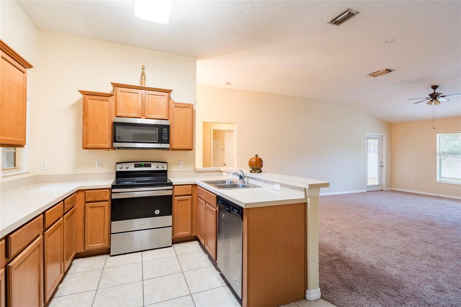 8117 Alamosa Wood Avenue, FL