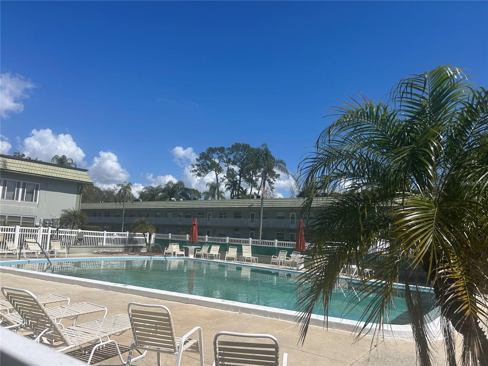 1433 Belcher Road, FL