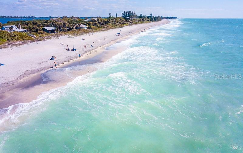D Allyon Drive, FL